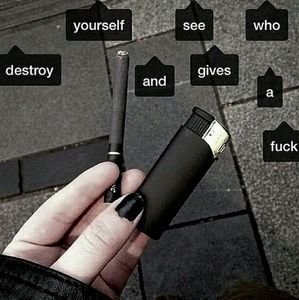 Meet your Posher, Miranda